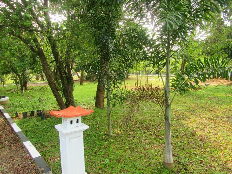 Hotel Tree Garden Wilpaththu Nochchiyagma Anuradhapura Nochchiyagama Екстериор снимка