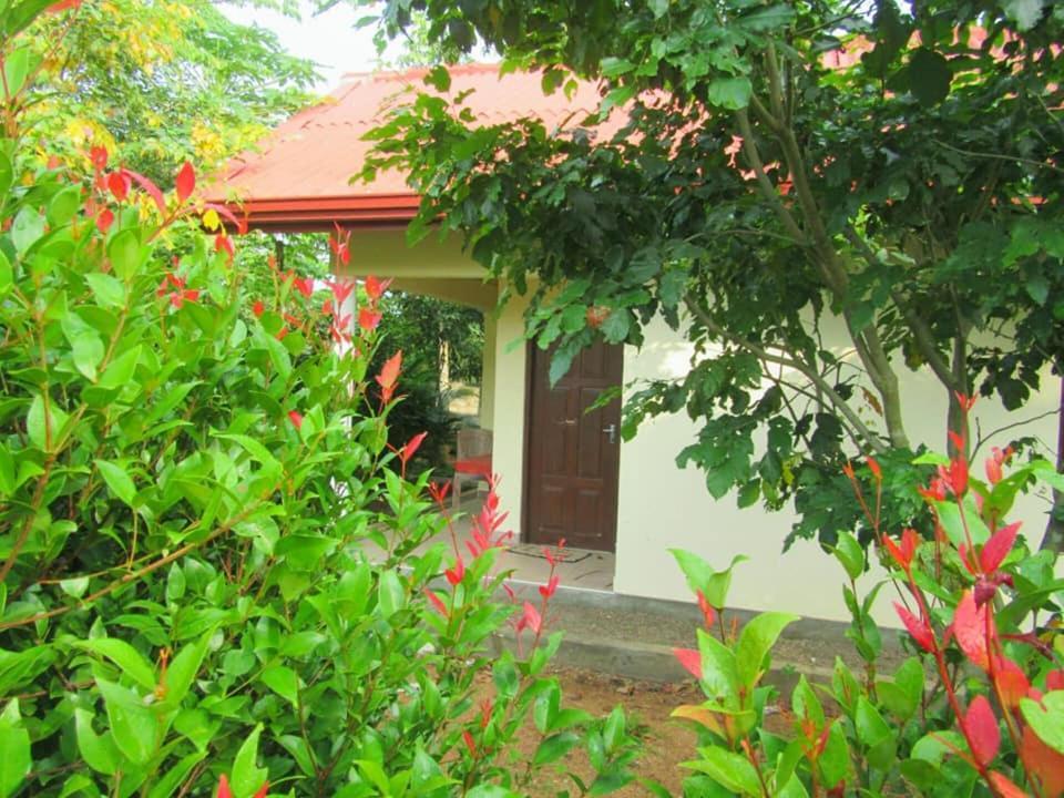 Hotel Tree Garden Wilpaththu Nochchiyagma Anuradhapura Nochchiyagama Екстериор снимка