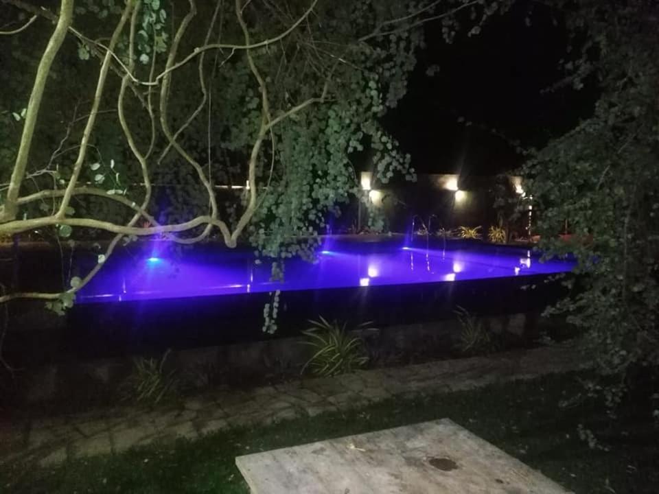 Hotel Tree Garden Wilpaththu Nochchiyagma Anuradhapura Nochchiyagama Екстериор снимка