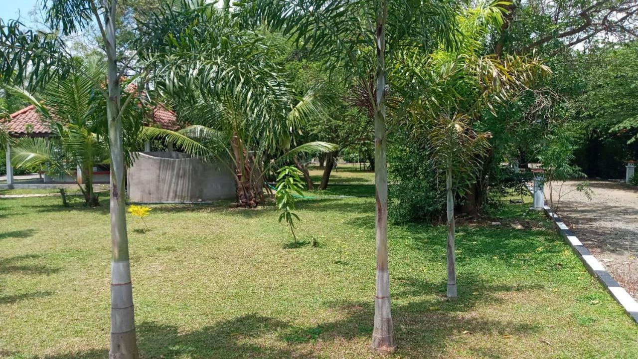 Hotel Tree Garden Wilpaththu Nochchiyagma Anuradhapura Nochchiyagama Екстериор снимка