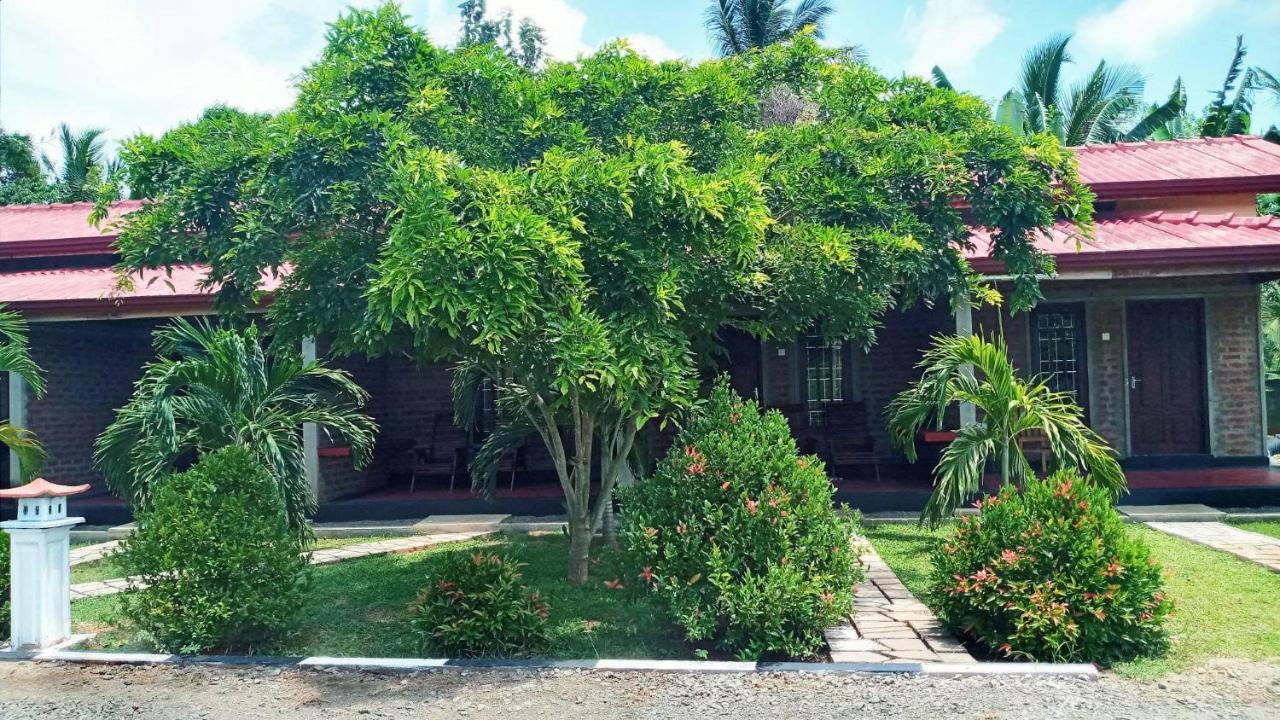Hotel Tree Garden Wilpaththu Nochchiyagma Anuradhapura Nochchiyagama Екстериор снимка