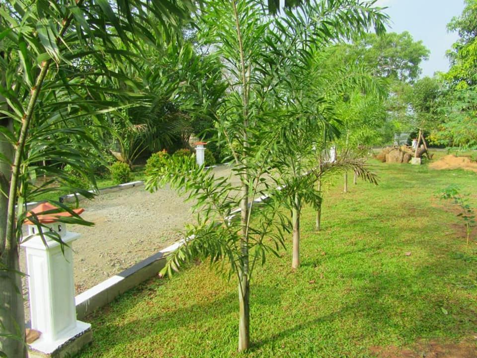 Hotel Tree Garden Wilpaththu Nochchiyagma Anuradhapura Nochchiyagama Екстериор снимка