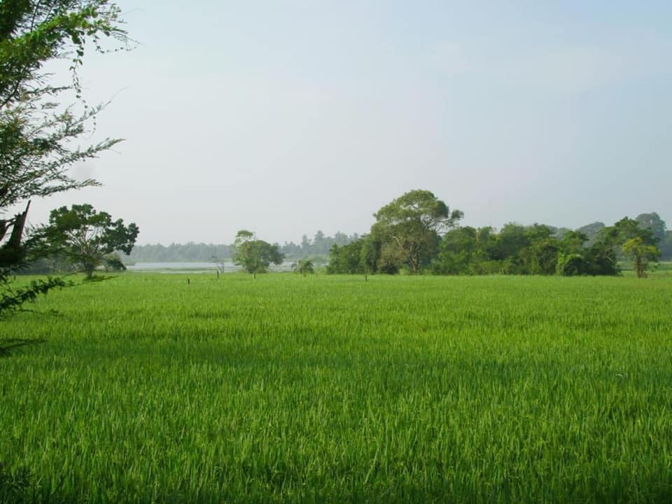 Hotel Tree Garden Wilpaththu Nochchiyagma Anuradhapura Nochchiyagama Екстериор снимка