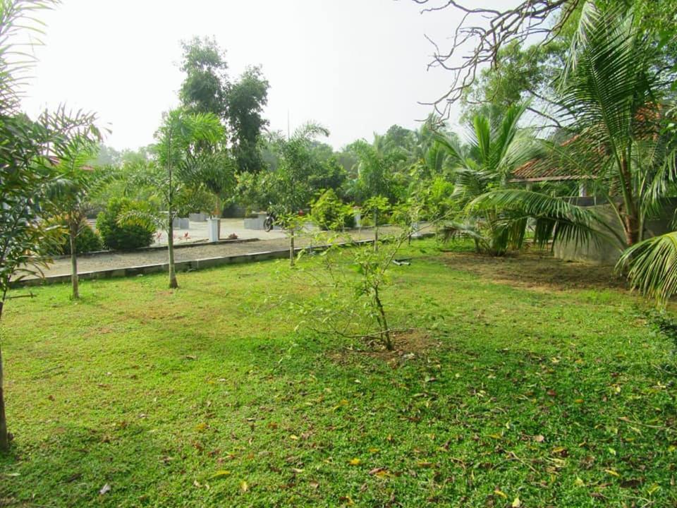 Hotel Tree Garden Wilpaththu Nochchiyagma Anuradhapura Nochchiyagama Екстериор снимка