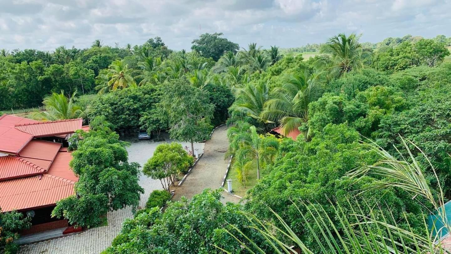 Hotel Tree Garden Wilpaththu Nochchiyagma Anuradhapura Nochchiyagama Екстериор снимка