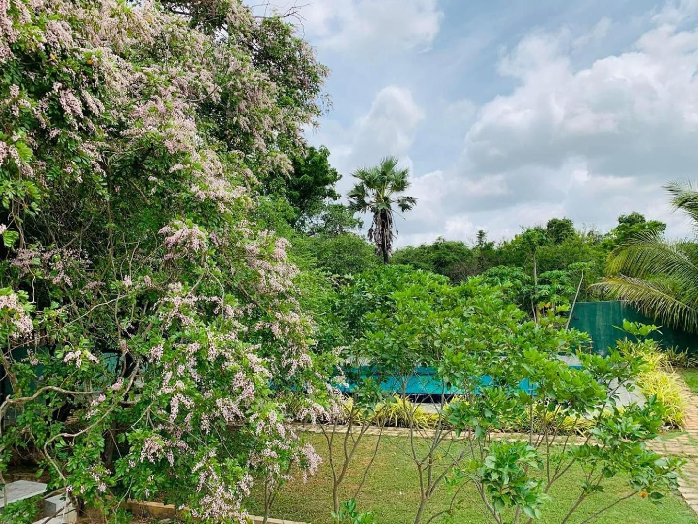 Hotel Tree Garden Wilpaththu Nochchiyagma Anuradhapura Nochchiyagama Екстериор снимка