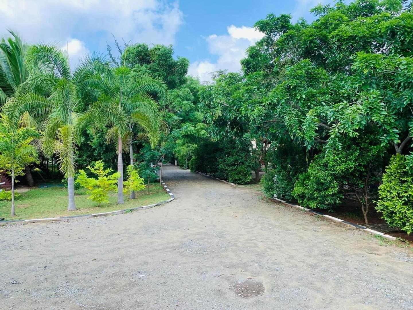 Hotel Tree Garden Wilpaththu Nochchiyagma Anuradhapura Nochchiyagama Екстериор снимка