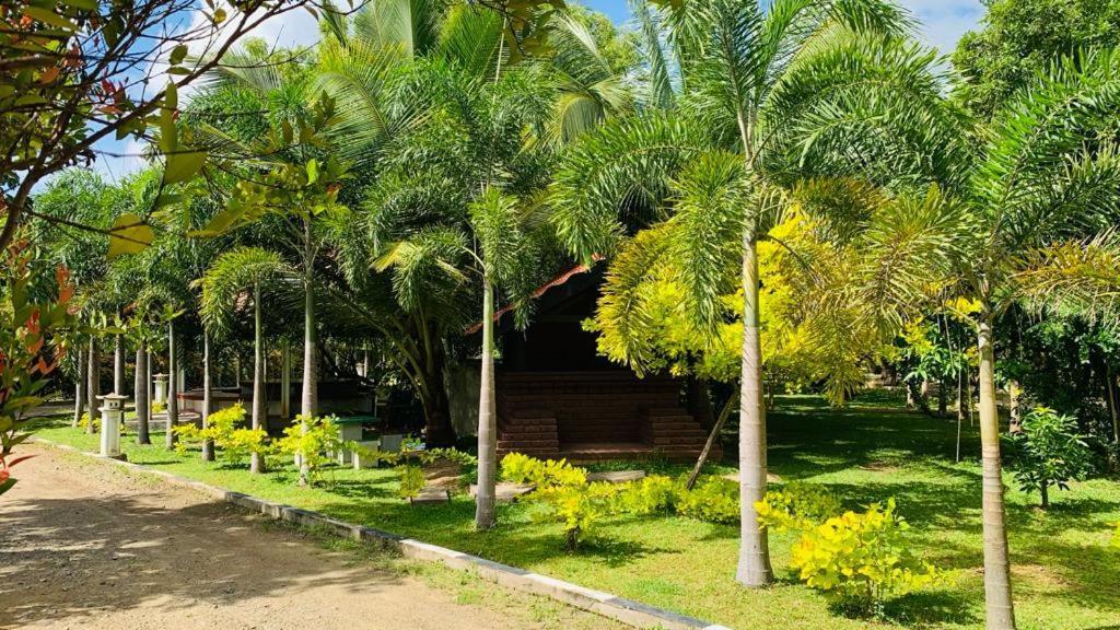 Hotel Tree Garden Wilpaththu Nochchiyagma Anuradhapura Nochchiyagama Екстериор снимка