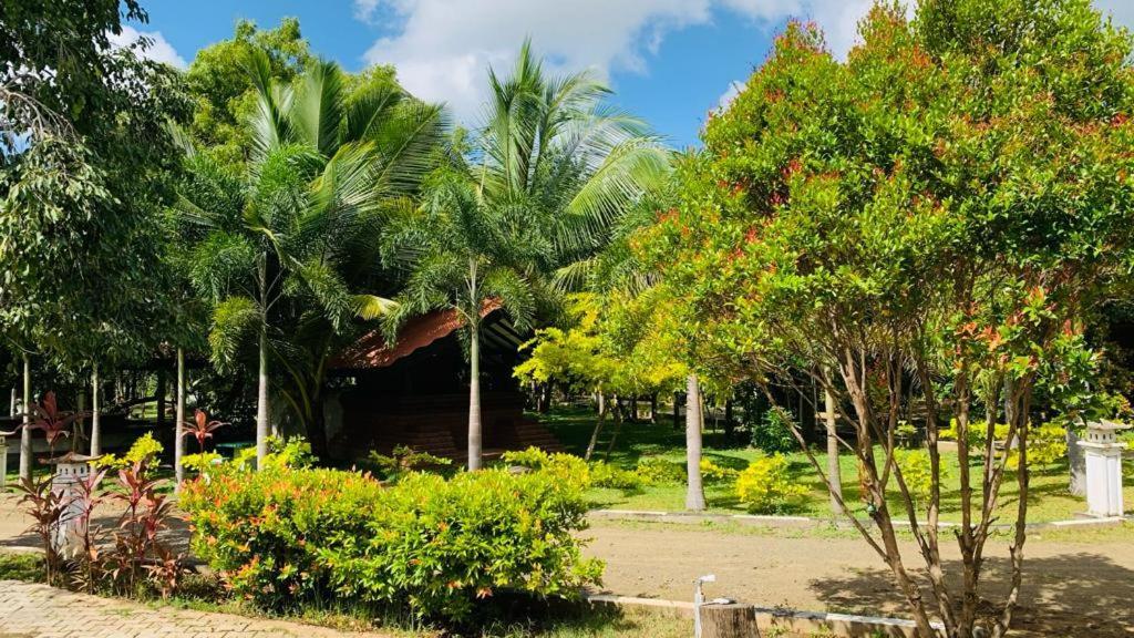 Hotel Tree Garden Wilpaththu Nochchiyagma Anuradhapura Nochchiyagama Екстериор снимка
